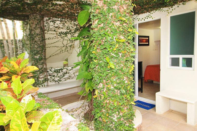 Bon Jesus Hotel La Vigueta ภายนอก รูปภาพ